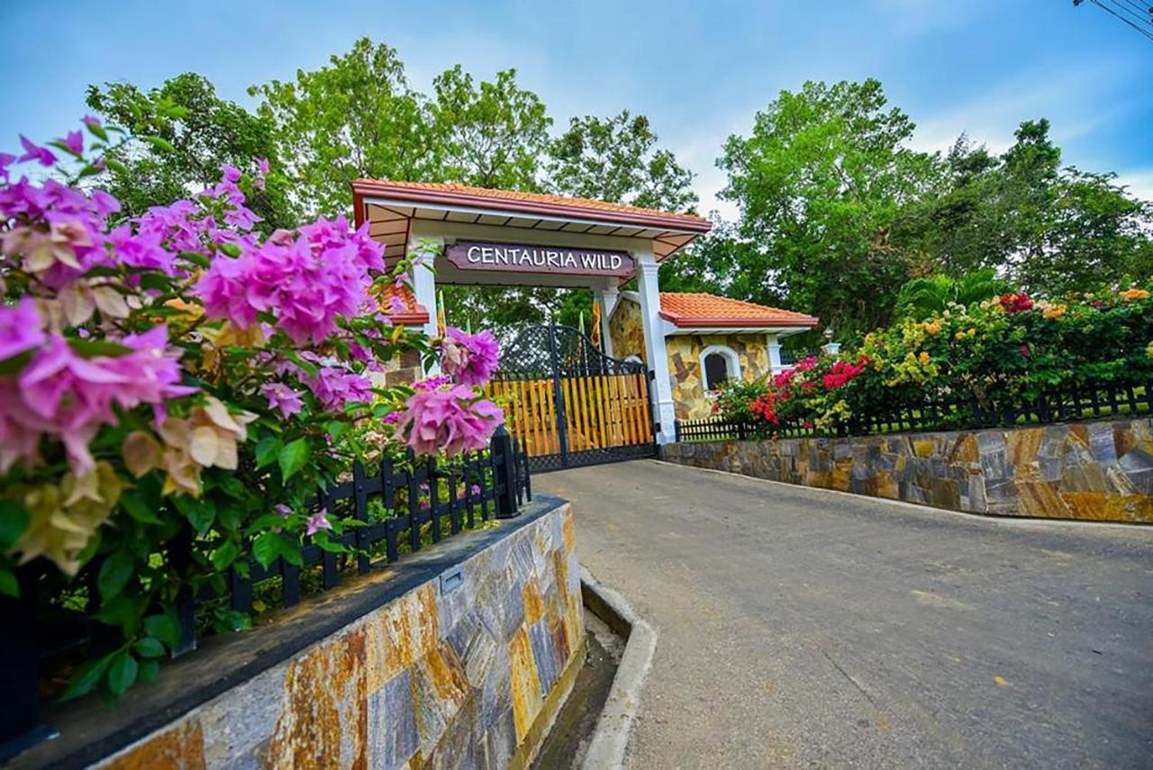 Hotel Centauria Wild Udawalawe Esterno foto